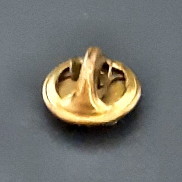 Vintage Independent Order of Foresters Pins Lot of 2 IOF - Picture 4 of 6